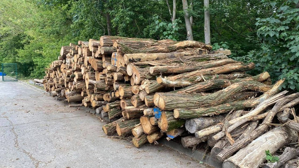 Grove dennenstamhout 1 vrachtwagen - 40 m³