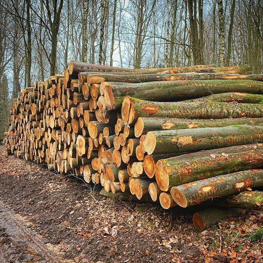 Beukenhout stammen 1 vrachtwagen - 40 m³
